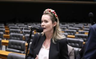 Discussão e votação de propostas legislativas. Dep. Julia Zanatta (PL-SC)