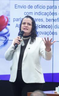 Procedimentos e prazos para operacionalização de emendas. Secretária Adjunta de Gestão e Inovação - SEGES/MGI, Regina Lemos.