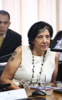 Instalação da 7ª composição do Conselho de Comunicação Social do Congresso Nacional e eleição de Presidente e Vice-Presidente. Conselheira, Rita de Cassia Freire