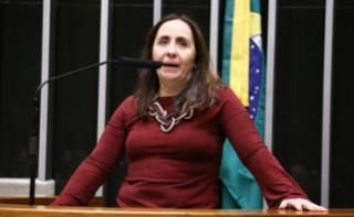 Discussão e votação de propostas legislativas. Dep. Adriana Ventura (NOVO - SP)