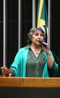 Discussão e votação de propostas legislativas. Dep. Erika Kokay (PT-DF)