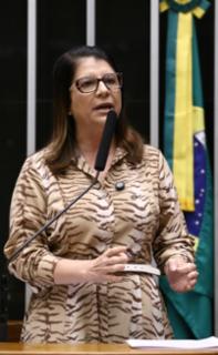 Discussão e votação de propostas legislativas. Dep. Carla Dickson (UNIÃO-RN)