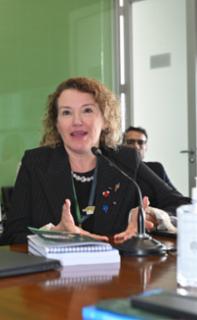 1ª reunião ordinária de 2026. Diretora da TV Câmara, Daniela Guerson André