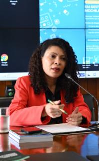 1ª reunião ordinária de 2026. Representante da Sociedade Civil, Li-Chang Shuen Cristina Silva Sousa