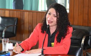 1ª reunião ordinária de 2026. Representante da Sociedade Civil, Li-Chang Shuen Cristina Silva Sousa