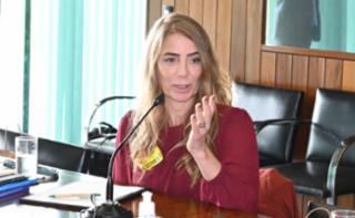 1ª reunião ordinária de 2026. Representante da Sociedade Civil, Gesiléia Fonseca Teles