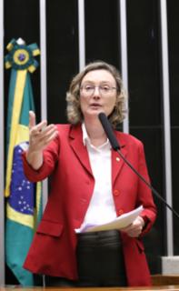 Discussão e votação de propostas legislativas. Dep. Maria do Rosário (PT-RS)