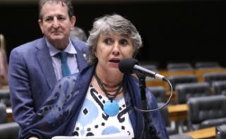 Discussão e votação de propostas legislativas. Dep. Erika Kokay (PT-DF)