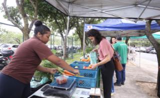Feira de Orgânicos da Câmara dos Deputados.