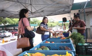 Feira de Orgânicos da Câmara dos Deputados.