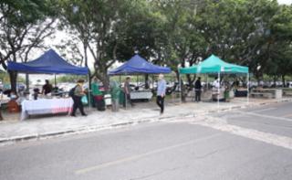Feira de Orgânicos da Câmara dos Deputados.