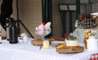 Feira de Orgânicos da Câmara dos Deputados.