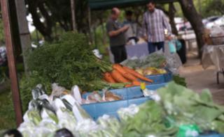 Feira de Orgânicos da Câmara dos Deputados.