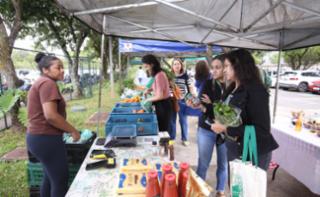 Feira de Orgânicos da Câmara dos Deputados.