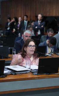 Oitivas de testemunha. Dep. Bia Kicis (PL - DF)