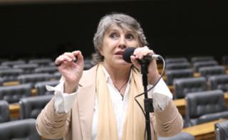 Sessão para a votação de propostas legislativas. Dep. Erika Kokay (PT - DF)