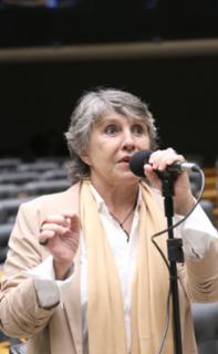 Sessão para a votação de propostas legislativas. Dep. Erika Kokay (PT - DF)