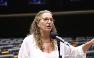 Sessão para a votação de propostas legislativas. Dep. Jandira Feghali (PCDOB-RJ)