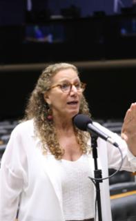 Sessão para a votação de propostas legislativas. Dep. Jandira Feghali (PCDOB-RJ)