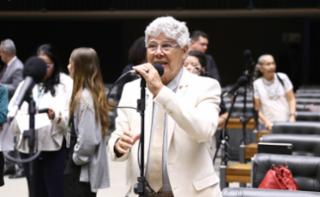 Sessão para a votação de propostas legislativas. Dep. Chico Alencar (PSOL-RJ)