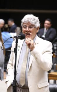 Sessão para a votação de propostas legislativas. Dep. Chico Alencar (PSOL-RJ)