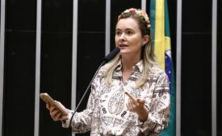 Sessão para a votação de propostas legislativas. Dep. Julia Zanatta (PL - SC)