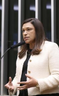 Discussão e votação de propostas legislativas. Dep. Maria Rosas (REPUBLICANOS - SP)