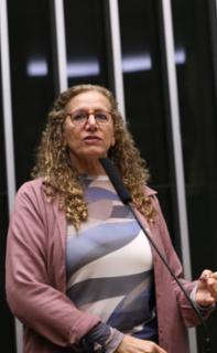 Discussão e votação de propostas legislativas. Dep. Jandira Feghali (PCDOB-RJ)