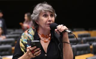 Discussão e votação de propostas legislativas. Dep. Erika Kokay (PT - DF)