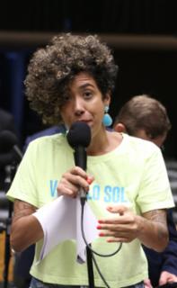 Discussão e votação de propostas legislativas. Dep. Talíria Petrone (PSOL - RJ)