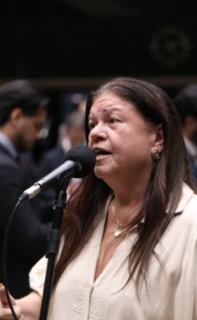 Discussão e votação de propostas legislativas. Dep. Laura Carneiro (PSD-RJ)