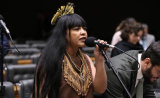 Discussão e votação de propostas legislativas. Dep. Célia Xakriabá (PSOL - MG)