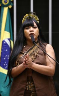 Discussão e votação de propostas legislativas. Dep. Célia Xakriabá (PSOL - MG)