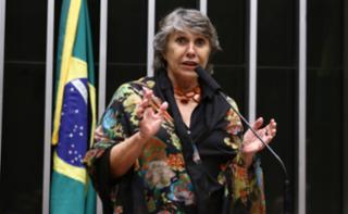 Discussão e votação de propostas legislativas. Dep. Erika Kokay (PT - DF)