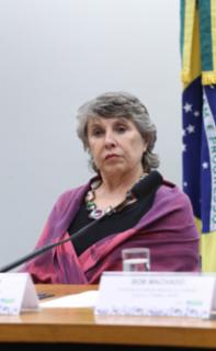 Audiência Pública - Déficit histórico no número de Auditores-Fiscais do Trabalho e o impacto negativo para diferentes setores da sociedade. Dep. Erika Kokay (PT-DF)