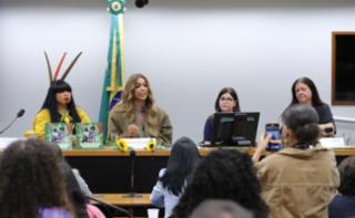 Reunião de Instalação e Eleição de Presidente e Vice-Presidentes. Dep. Célia Xakriabá (PSOL - MG).   Dep. Erika Hilton (PSOL - SP). Dep. Laura Carneiro (PSD - RJ).
