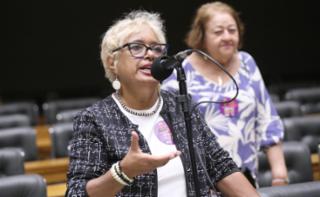 Discussão e votação de propostas legislativas. Dep.  Enfermeira Rejane (PCDOB-RJ)