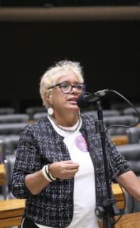 Discussão e votação de propostas legislativas. Dep.  Enfermeira Rejane (PCDOB-RJ)