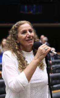 Discussão e votação de propostas legislativas. Dep. Jandira Feghali (PCDOB-RJ)
