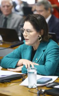 Oitiva de testemunha. Dep. Coronel Fernanda (PL - MT)