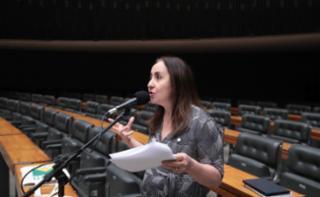 Discussão e votação de propostas legislativas. Dep. Adriana Ventura (NOVO - SP)