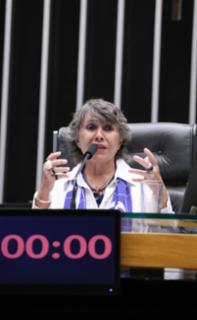 Homenagem ao Dia Internacional da Síndrome de Down. Dep. Erika Kokay (PT - DF)