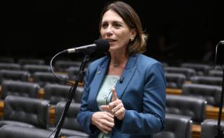Discussão e votação de propostas legislativas. Dep. Rosana Valle (PL - SP)