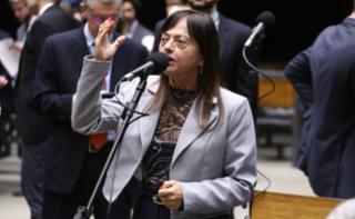Discussão e votação de propostas legislativas. Dep. Alice Portugal (PCdoB - BA)