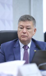Leitura do relatório final. Senador, Carlos Viana (PODE - MG)