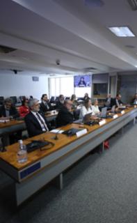 Audiência Pública - ECA Digital e demais projetos de proteção à criança e adolescente no ambiente digital, sob o ponto de vista da sociedade civil.
