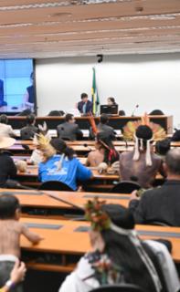 Audiência Pública - Setor Hidroviário no Programa Nacional de Desestatização . Dep. Claudio Cajado (PP - BA)