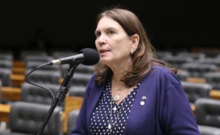 Discussão e votação de propostas legislativas. Dep. Bia Kicis (PL - DF)