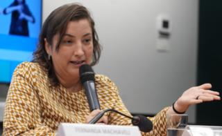 Audiência Pública - Dia Nacional de Luta Pela Reforma Agrária. Participante, Maíra Coraci Diniz