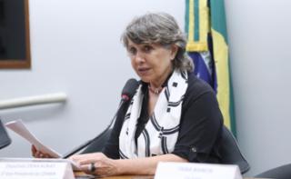 Audiência Pública - Política nacional de atenção integral às imunodeficiências primárias. 	Associação Brasileira de Alergia e Imunologia, Flaviane Rabelo.